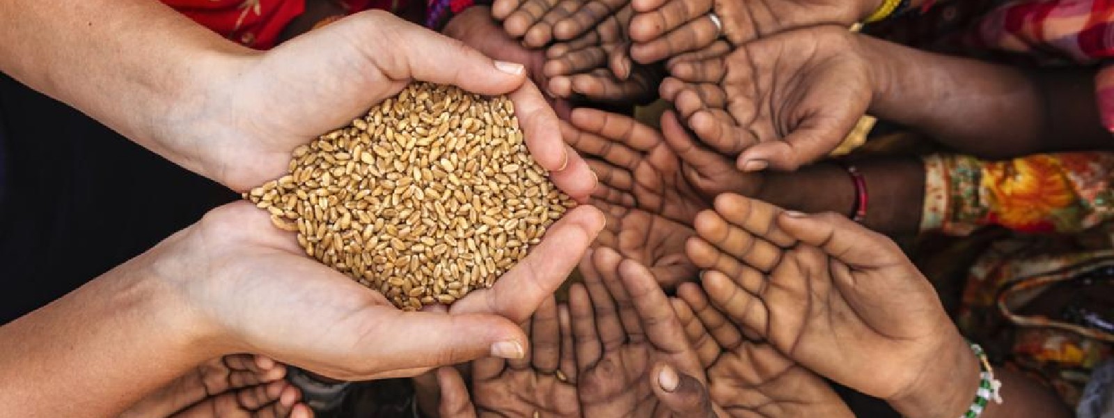 එක්සත් ජාතීන්ගේ සංවිධානයෙන් අනාවරණයක්